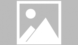 法律在我心中漫画,法律在我心中的漫画故事